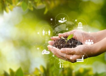 CMI Capital impulsa negocios sostenibles en Centroamérica