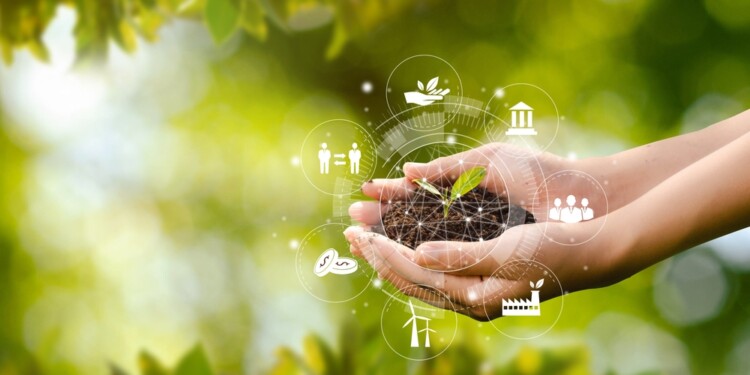 CMI Capital impulsa negocios sostenibles en Centroamérica