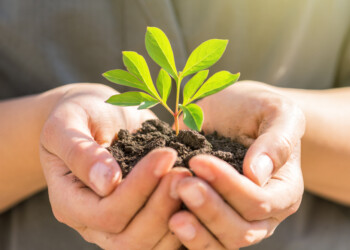 GK comprometida con el desarrollo sostenible