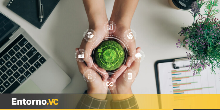 Los seis mejores fondos de inversión de impacto en América Latina para 2024