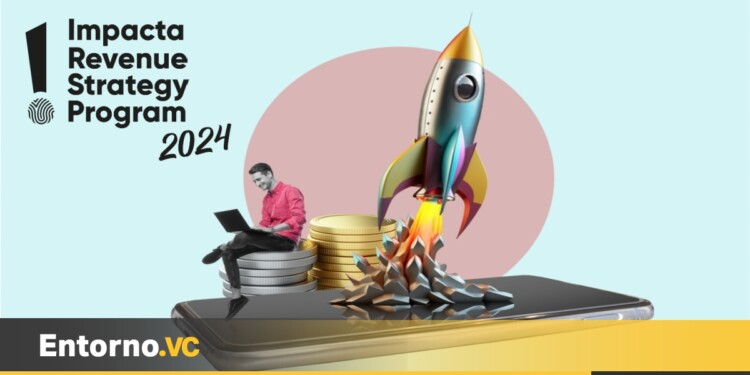 Impacta Revenue Strategy Program (IRSP) 2024