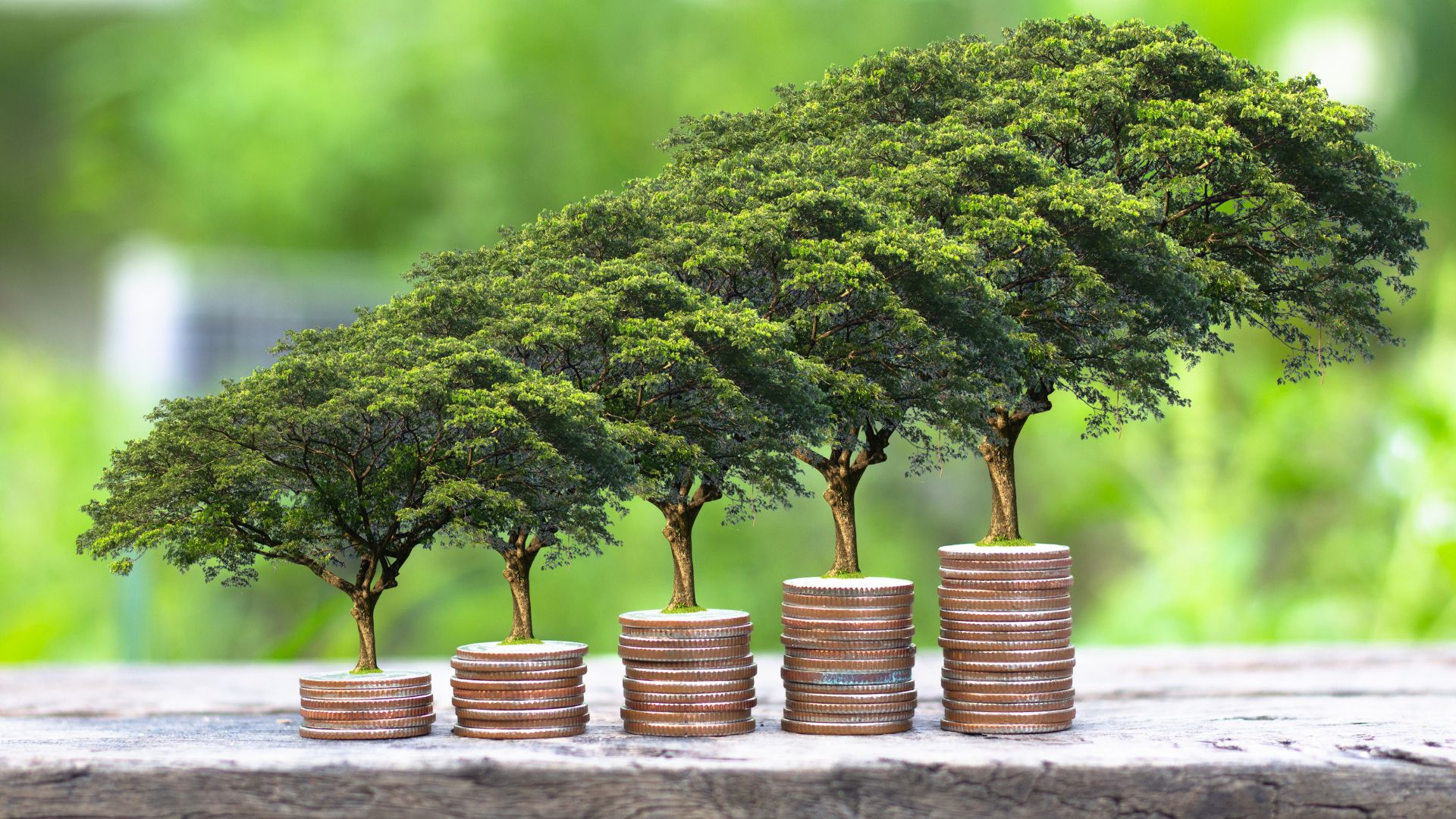 Crecimiento Sostenible